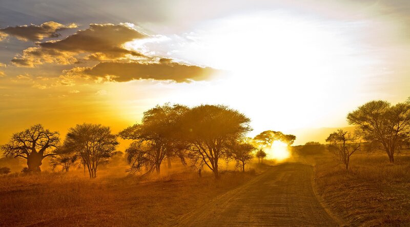 Dusty Road at Sunset — Yellow