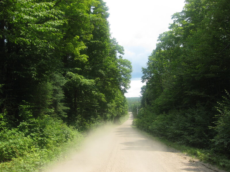 Dusty Road in Forest