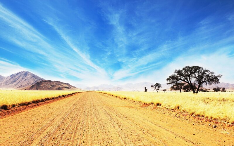 Dusty road in golden field