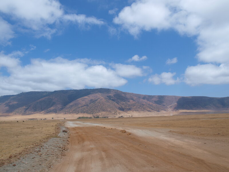 Dusty road in savanna landscape