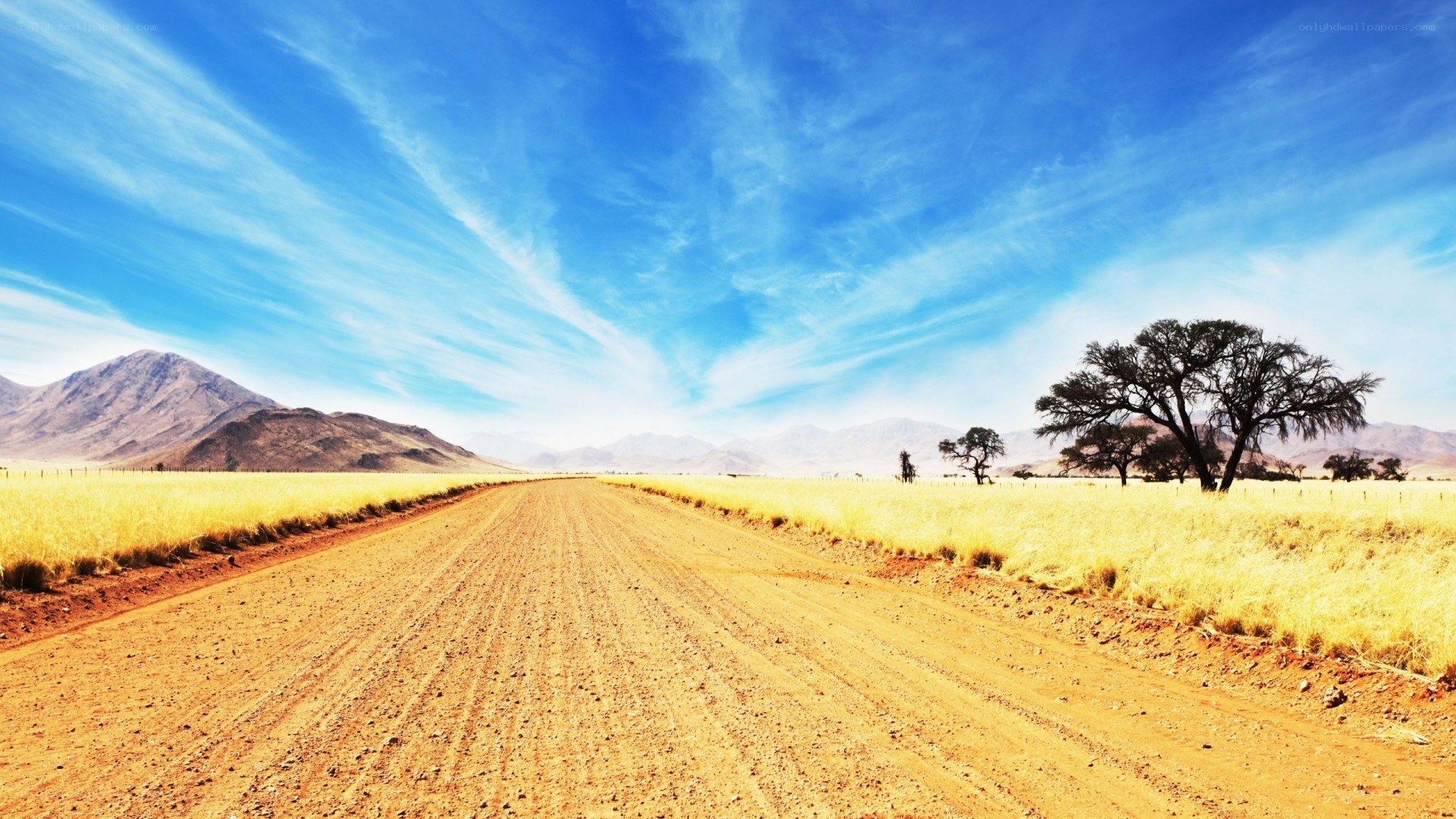 Dusty road through golden fields