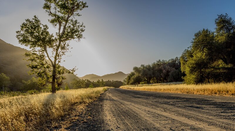 Dusty road through golden fields