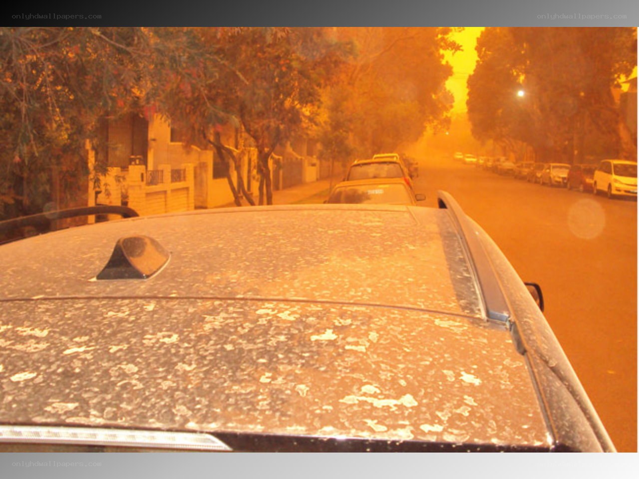 Dusty street during sandstorm