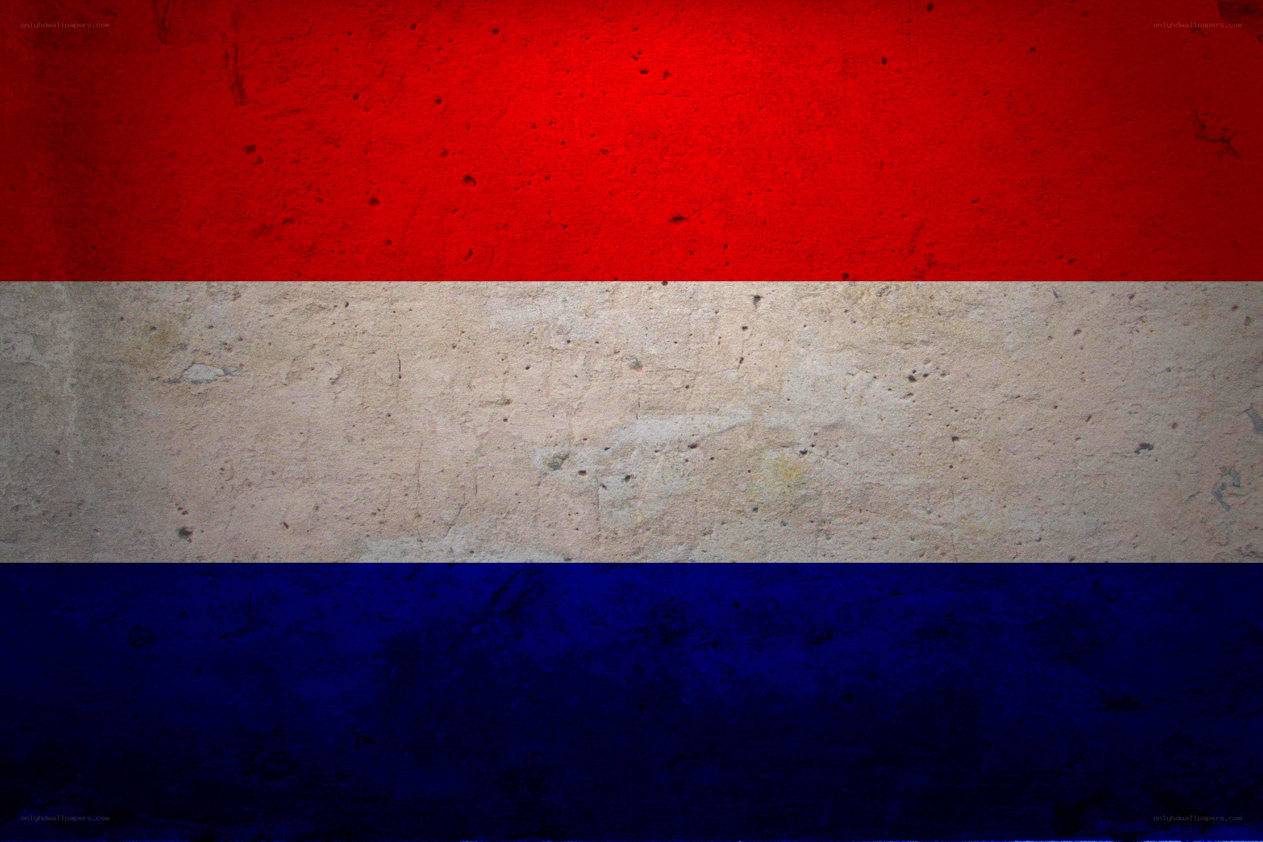Dutch flag on textured wall