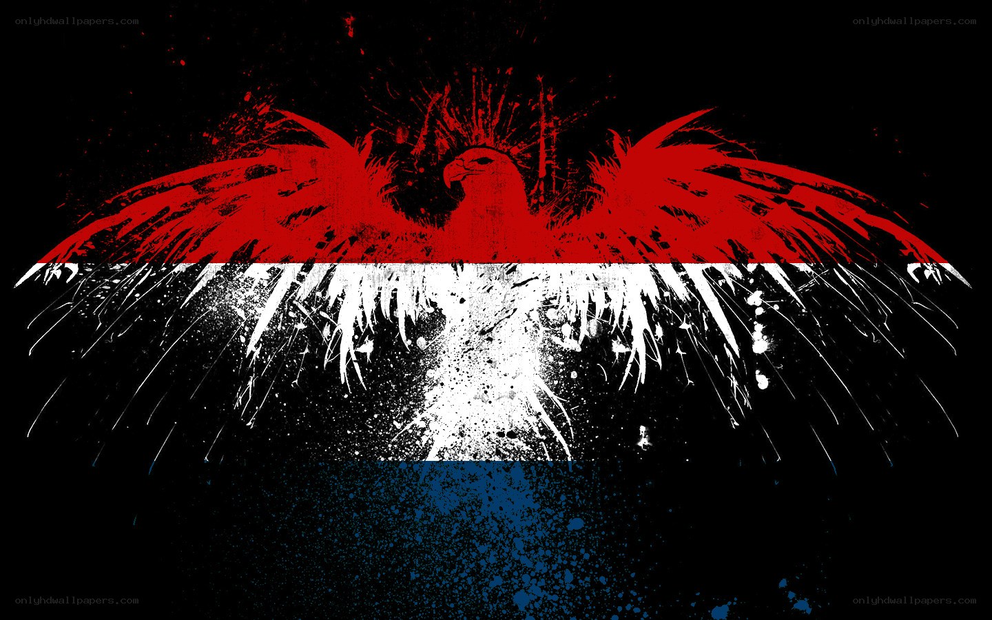 Dutch flag with eagle design