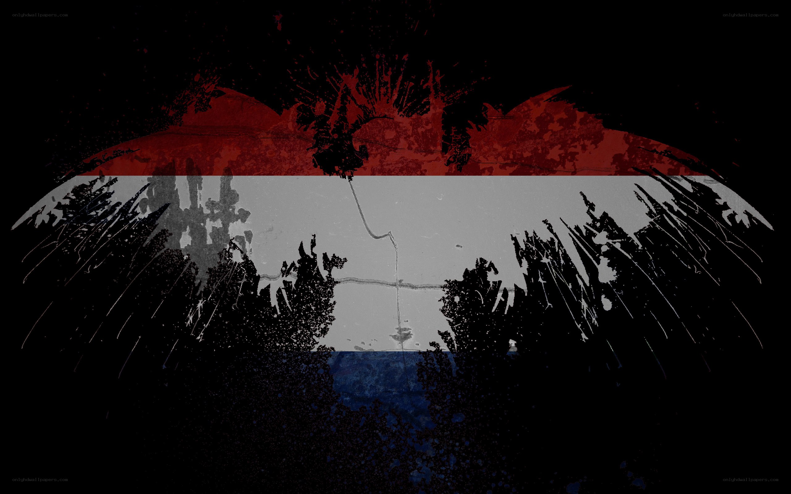 Dutch flag with grunge texture