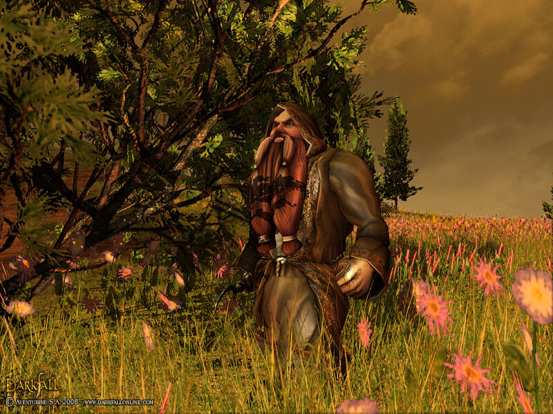 Dwarf in a Flower Field