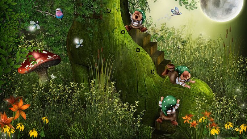 Dwarfs in Forest