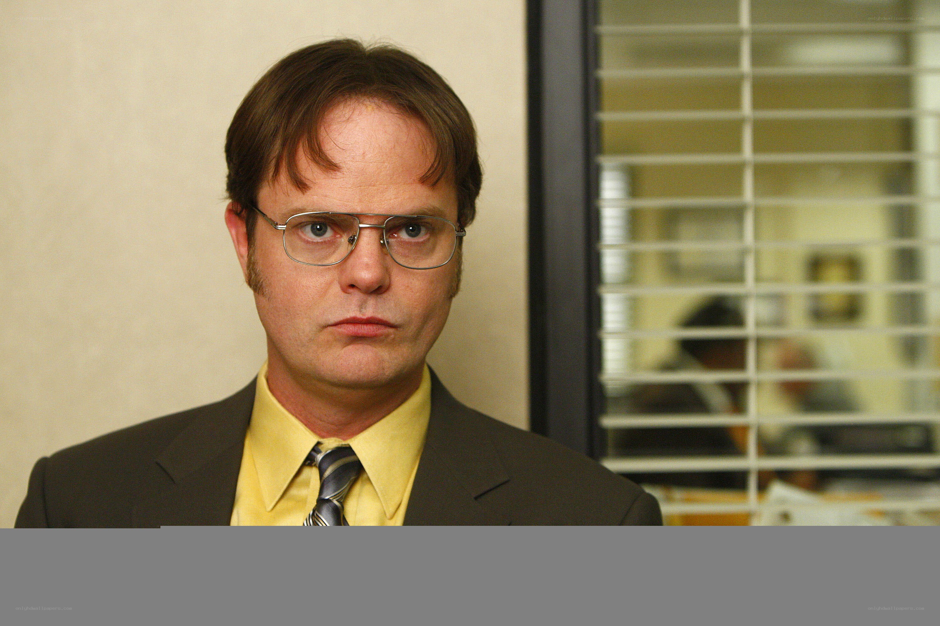 Dwight Schrute in office