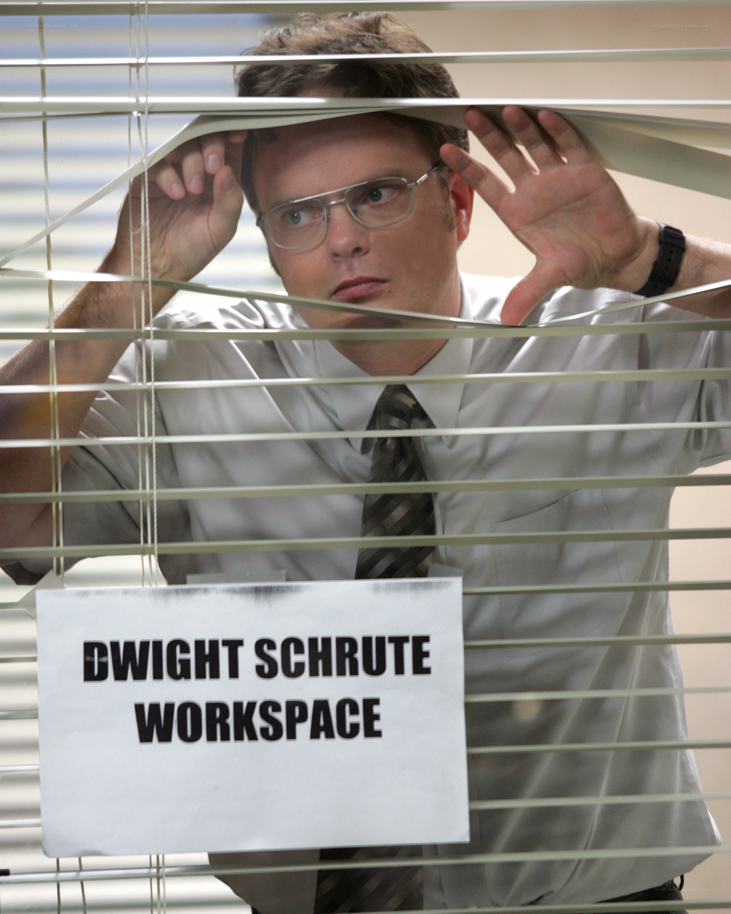 Dwight Schrute spying through blinds