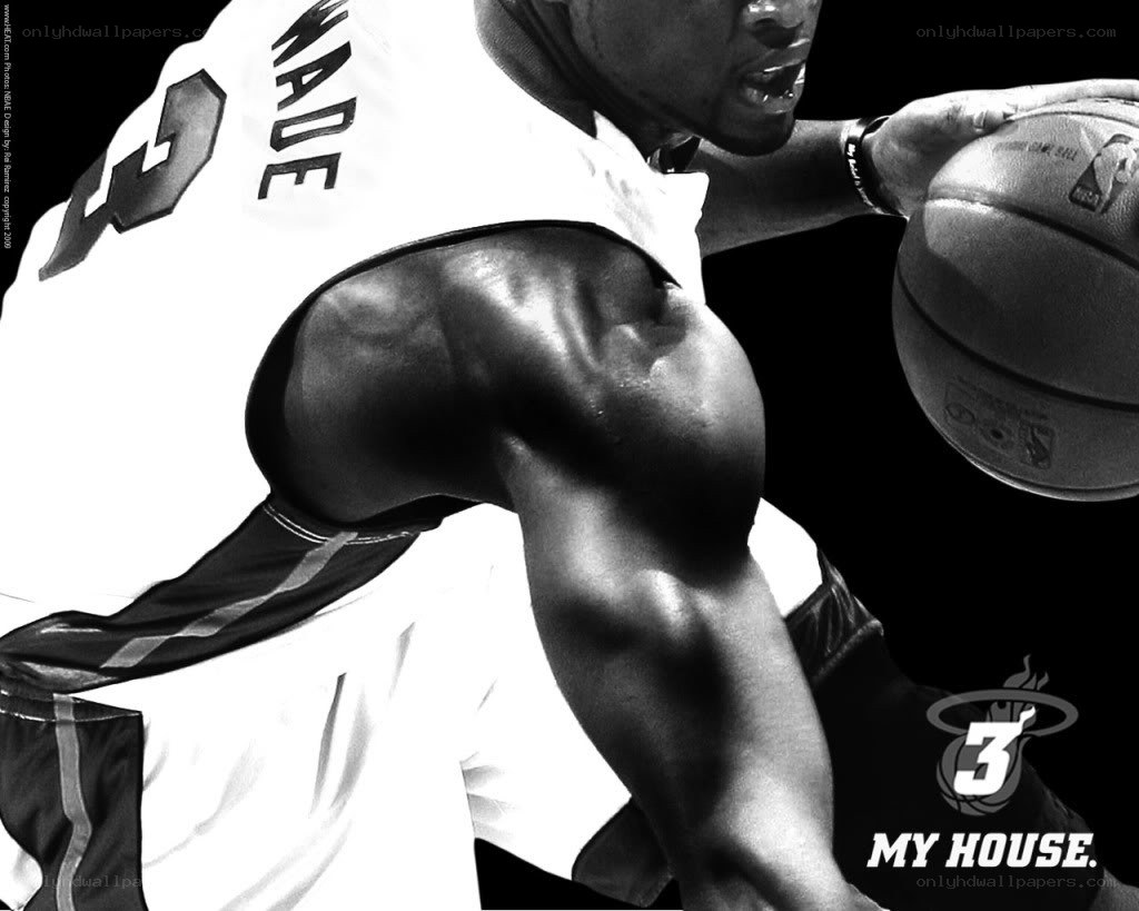 Dwyane Wade basketball action