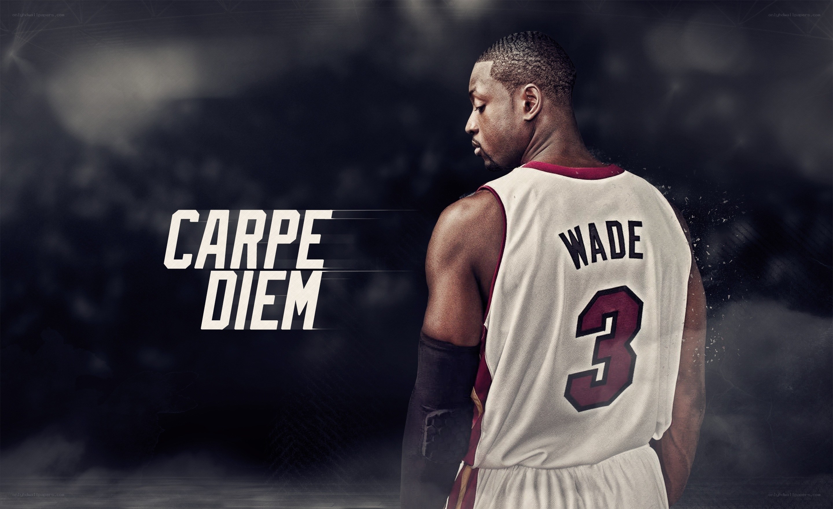 Dwyane Wade in Miami Heat jersey