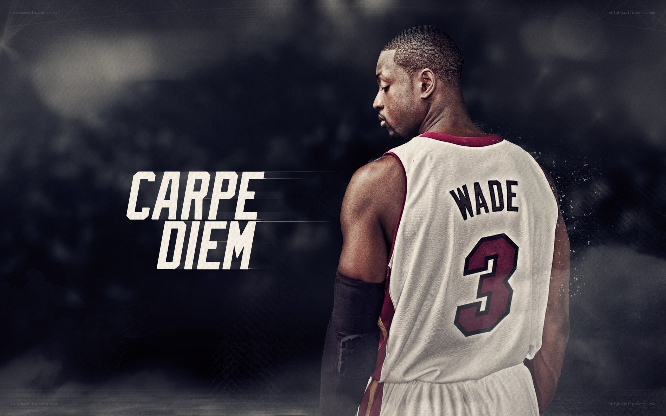 Dwyane Wade in Miami jersey