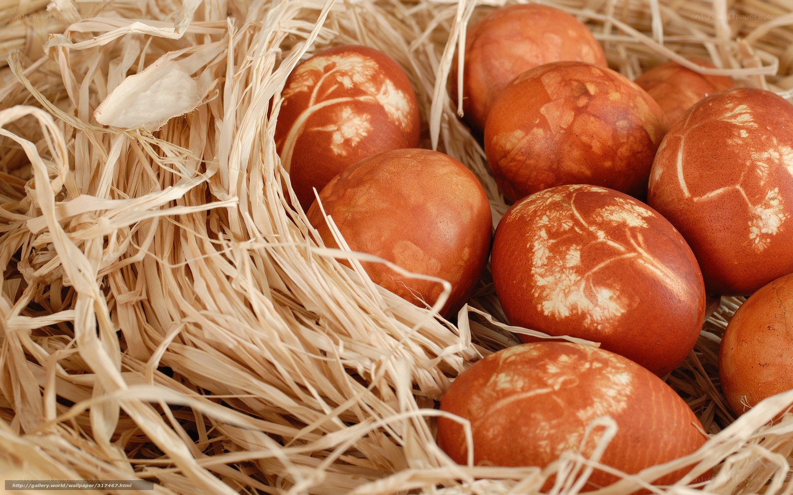 dyed eggs in straw nest