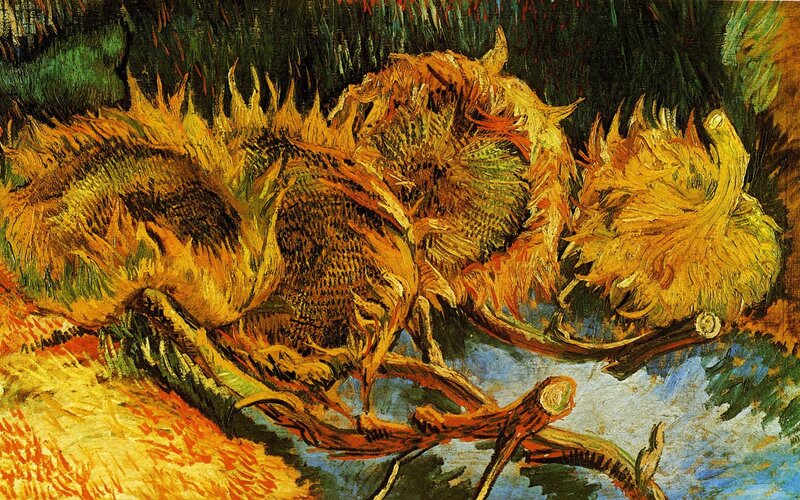 Dying Sunflowers — Yellow
