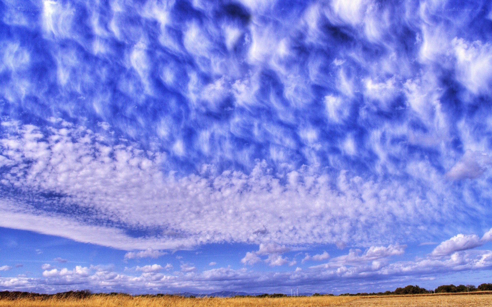 Dynamic sky over a field