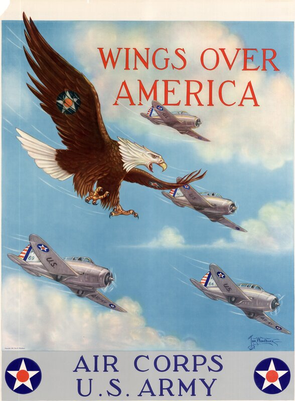 Eagle and Airplanes