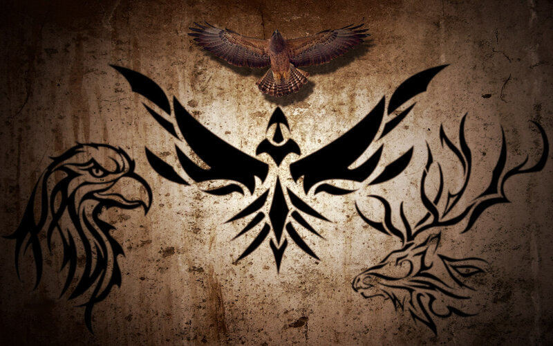 Eagle and Hawk Designs
