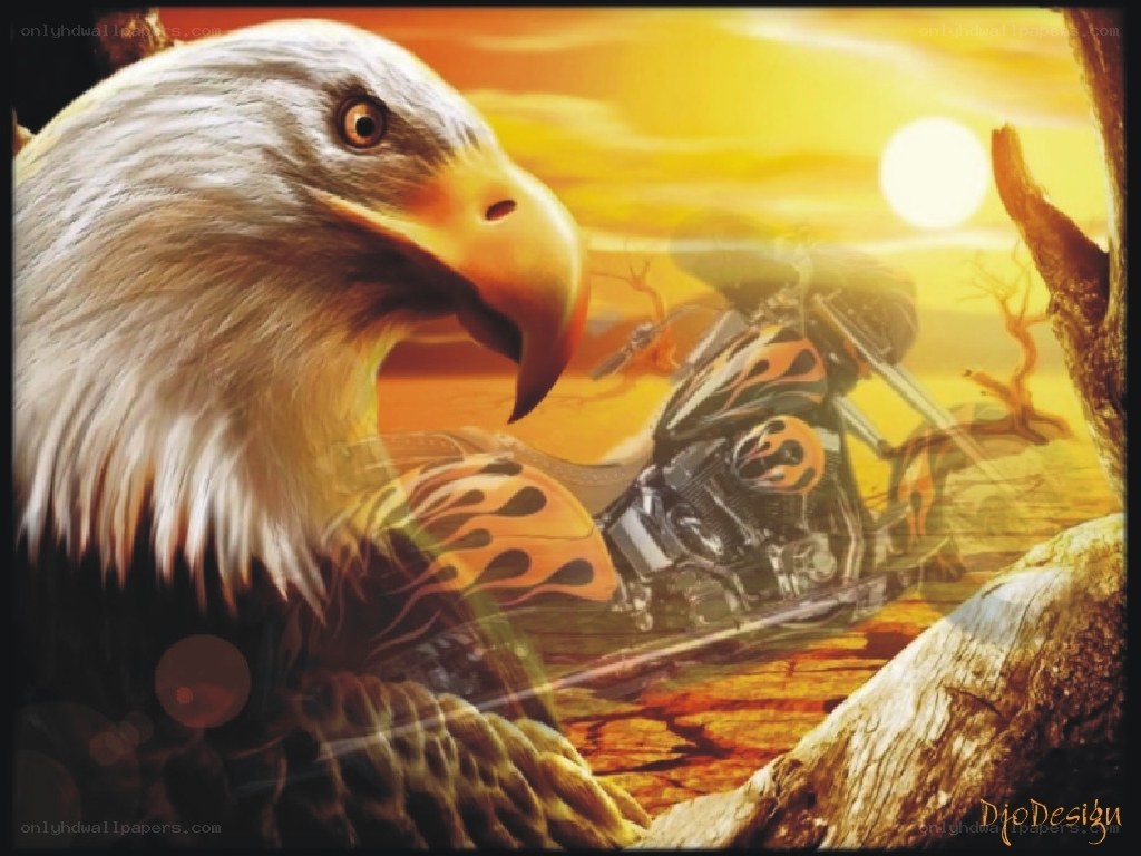 eagle and motorcycle at sunset