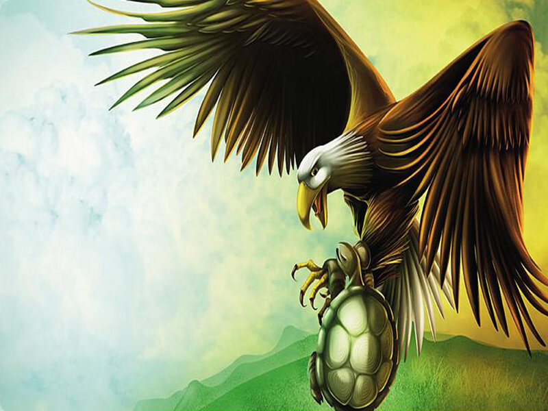 Eagle attacking a turtle