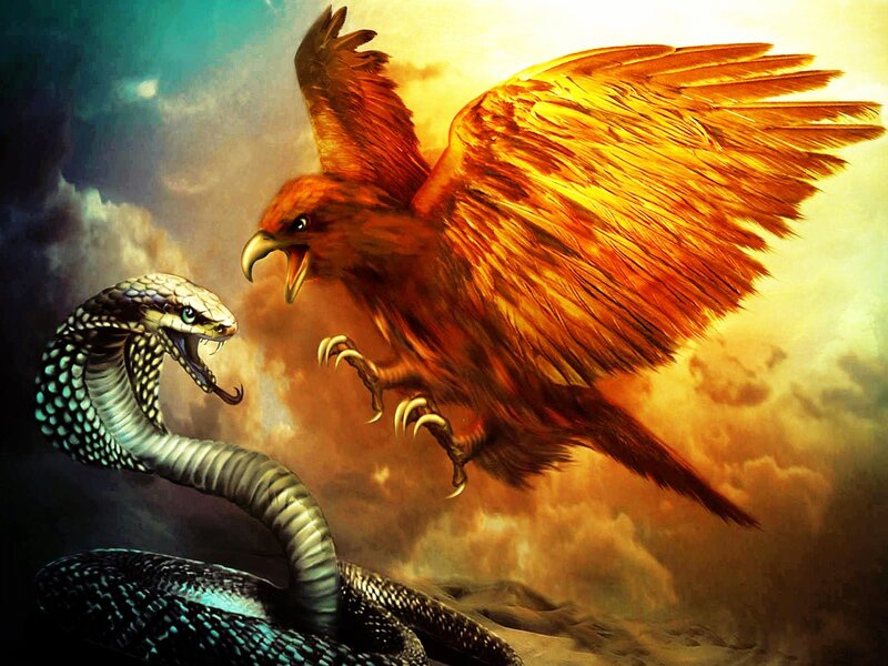 Eagle Attacking Cobra