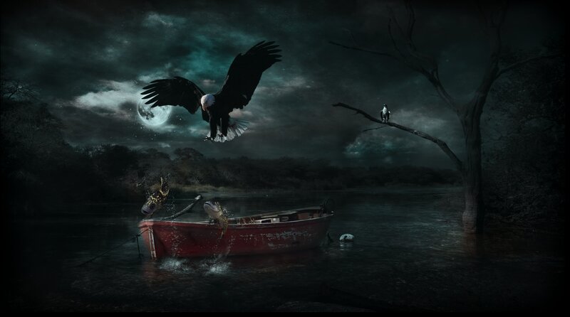 Eagle Attacking Fish