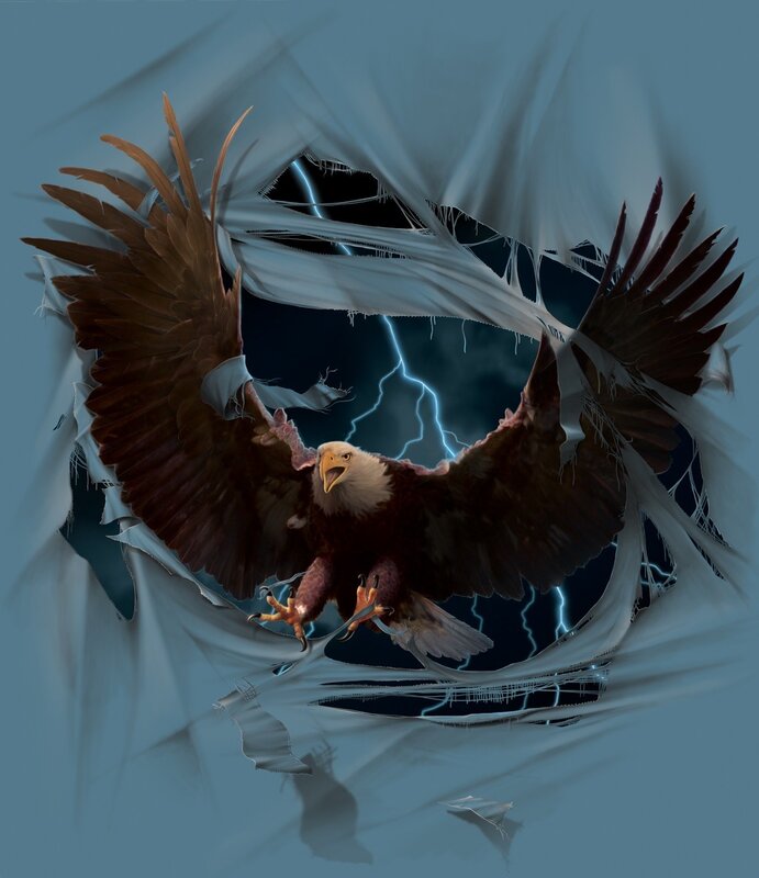 eagle breaking through fabric