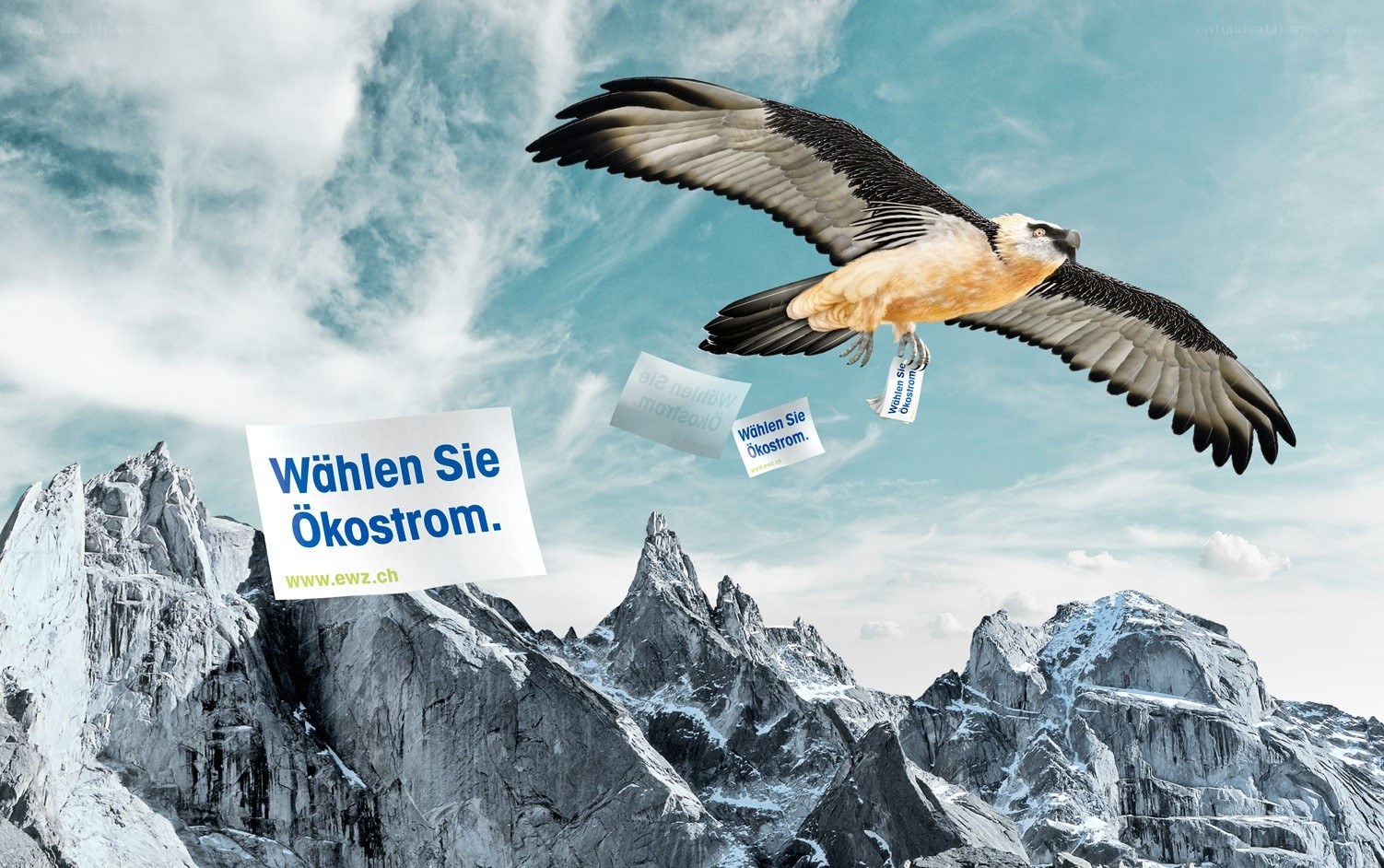 Eagle carrying campaign signs