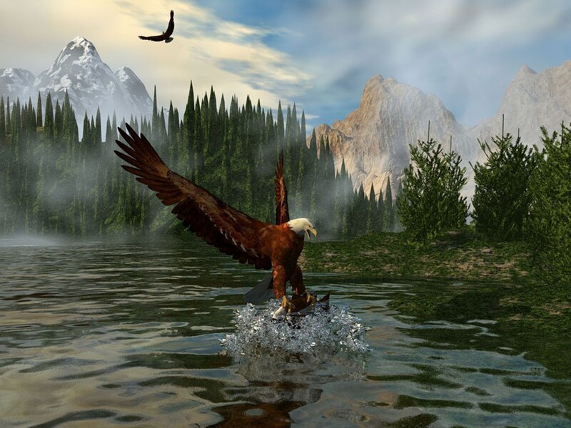 Eagle catching fish in a lake