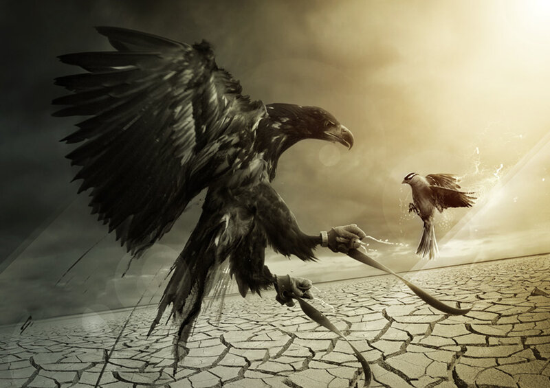 Eagle confronting sparrow