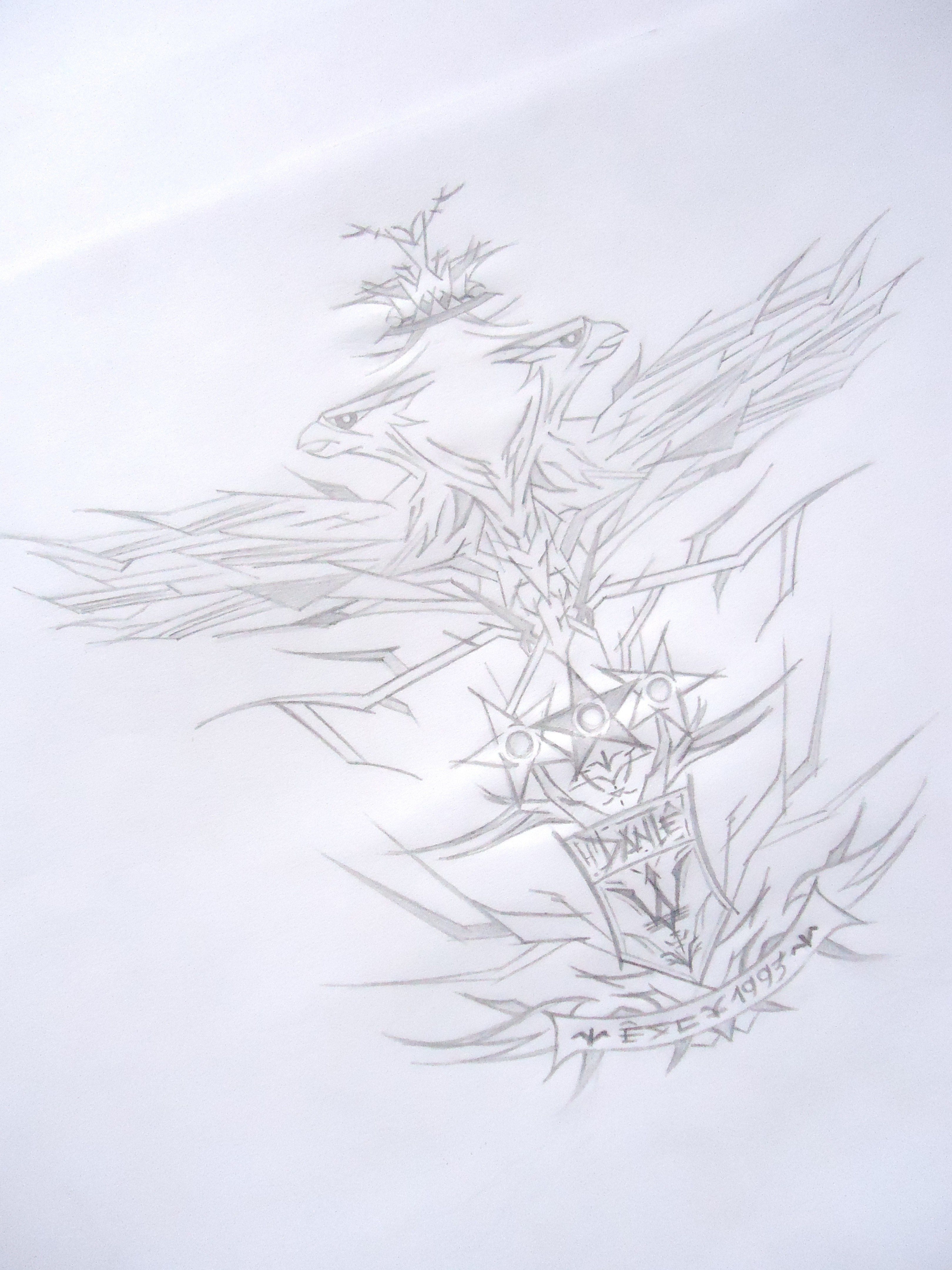 eagle crest sketch