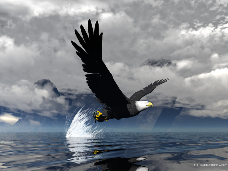 Eagle diving for fish