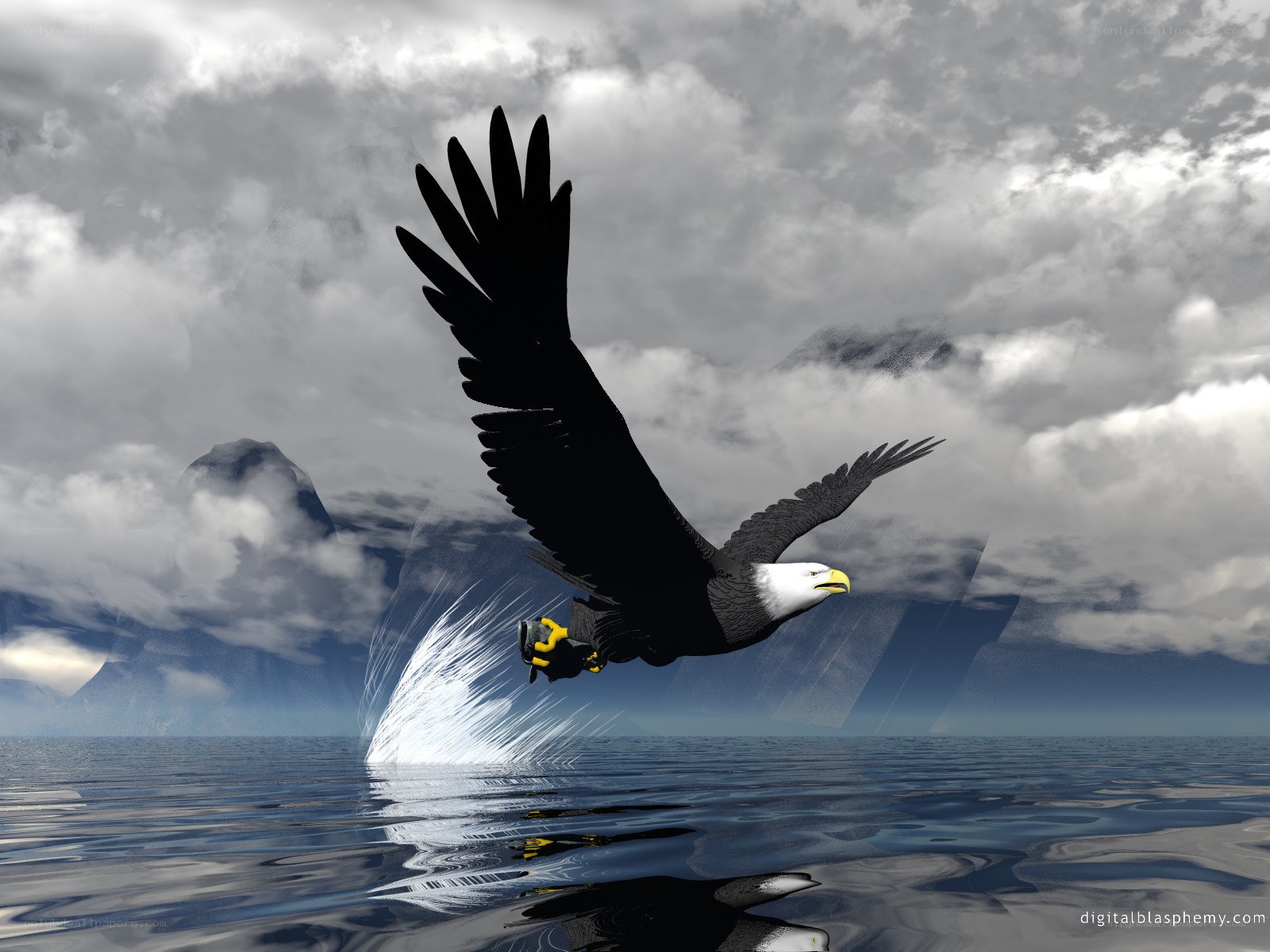Eagle diving for fish