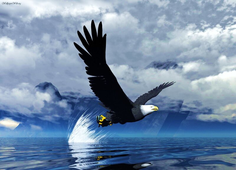 Eagle diving over water