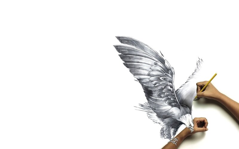 Eagle Drawing on Paper