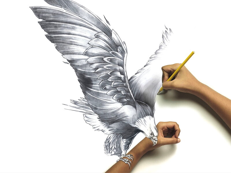 Eagle Drawing on Paper — White