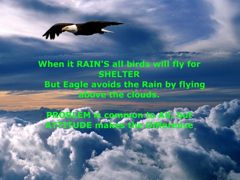 Eagle flies above clouds