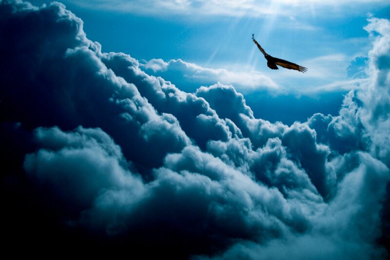 Eagle Flying Above Clouds — Blue