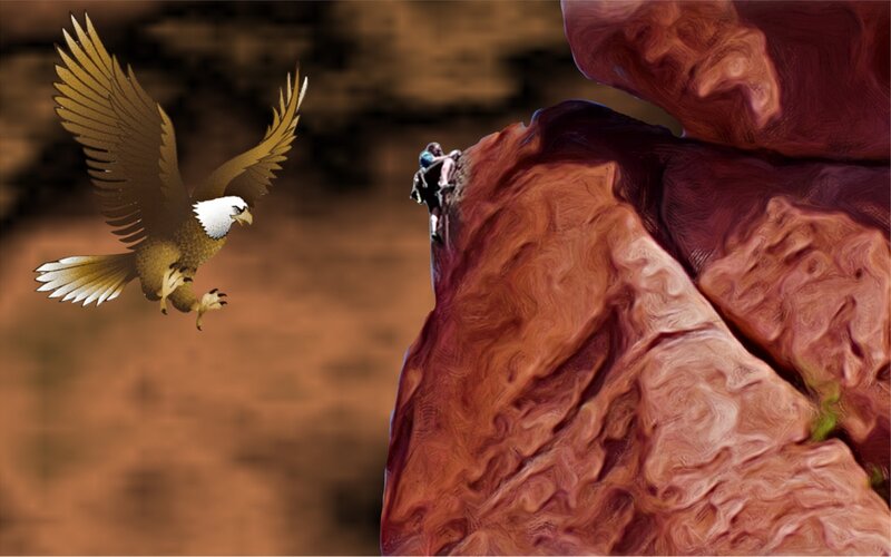 Eagle Flying Near Climber