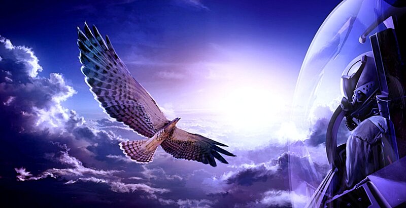 eagle flying near jet cockpit