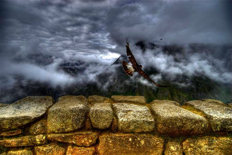 Eagle flying over ancient ruins
