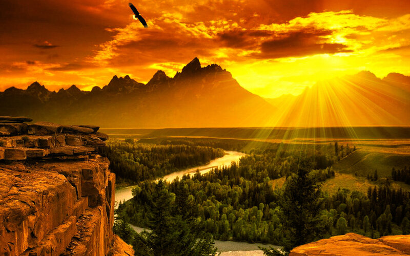 Eagle Flying over Canyon — Orange, Dramatic