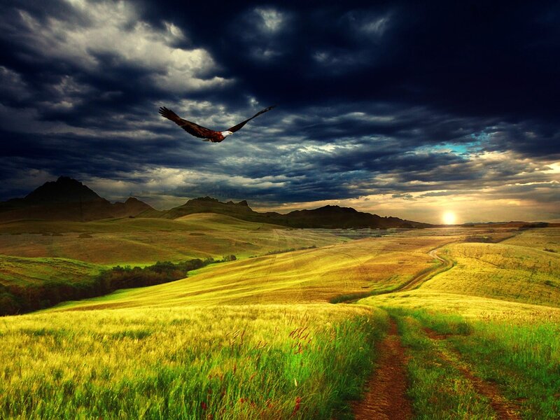Eagle Flying over Hills