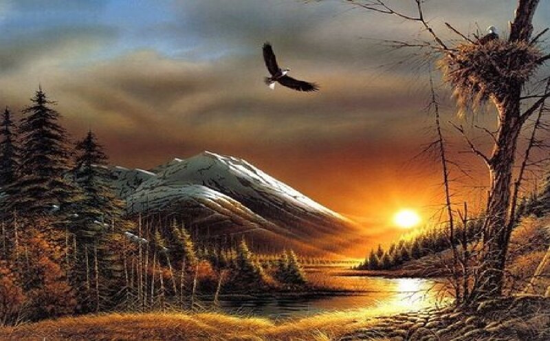 Eagle Flying over Lake — Orange