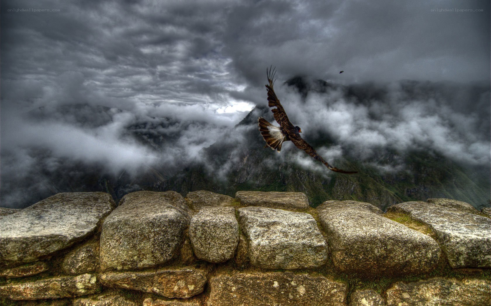 Eagle flying over Machu Picchu