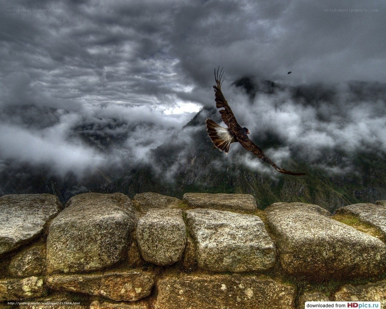 Eagle flying over Machu Picchu