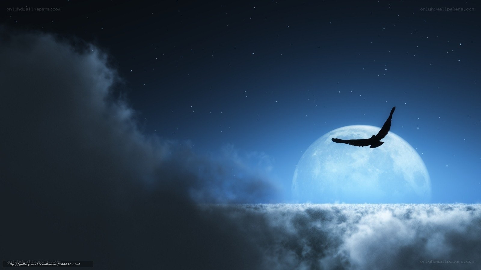 eagle flying over moon