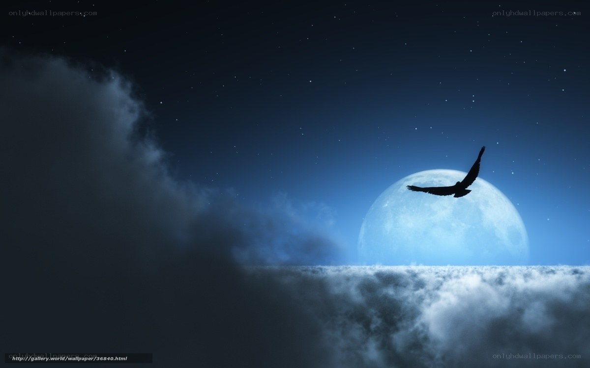 Eagle flying over moon