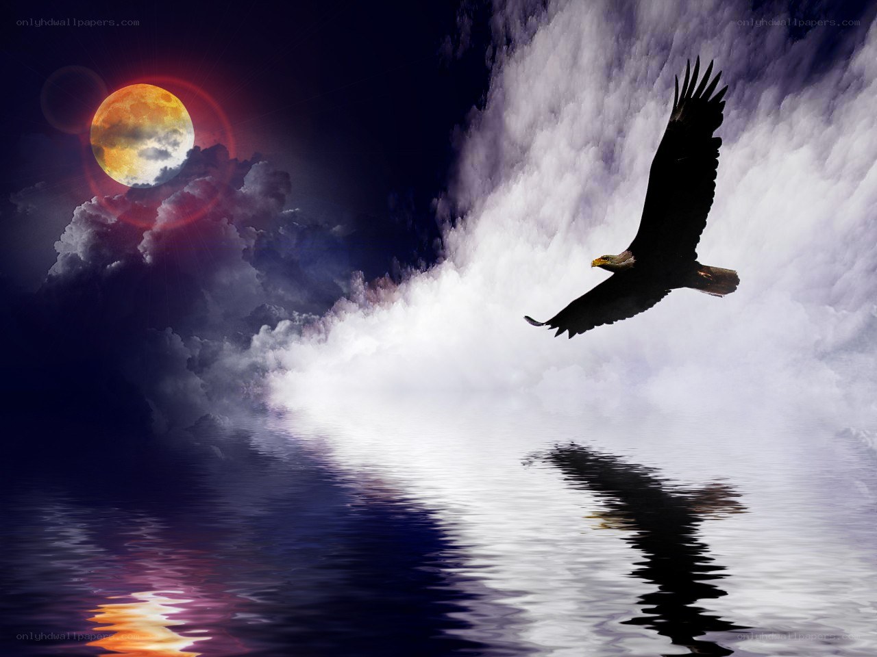 Eagle flying over moonlit water