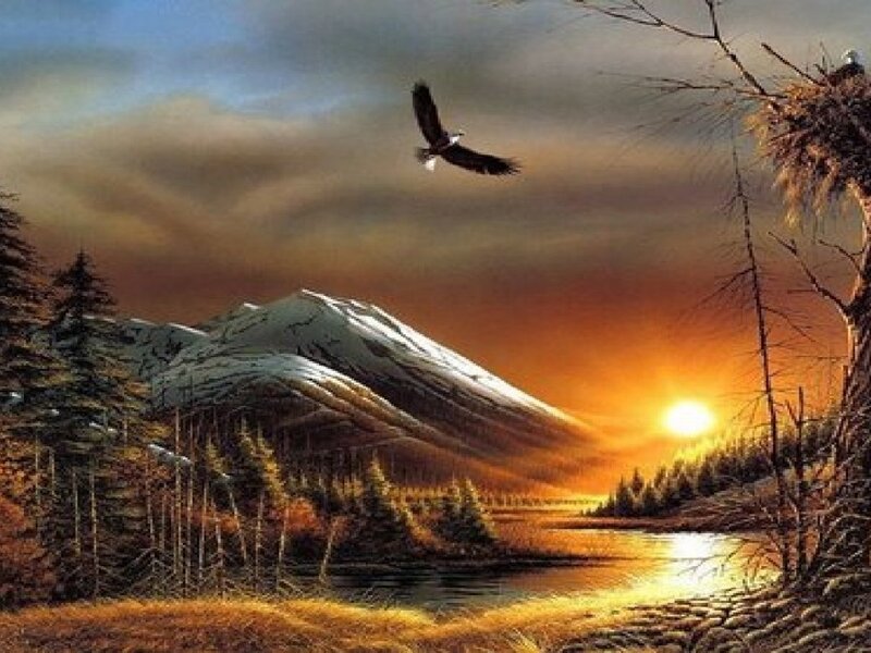 Eagle Flying over Mountain